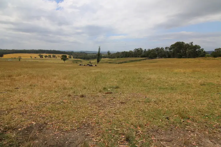 Fifth view of Homely rural property listing, Lot 1 / 515 Bullumwaal Road, Mount Taylor VIC 3875