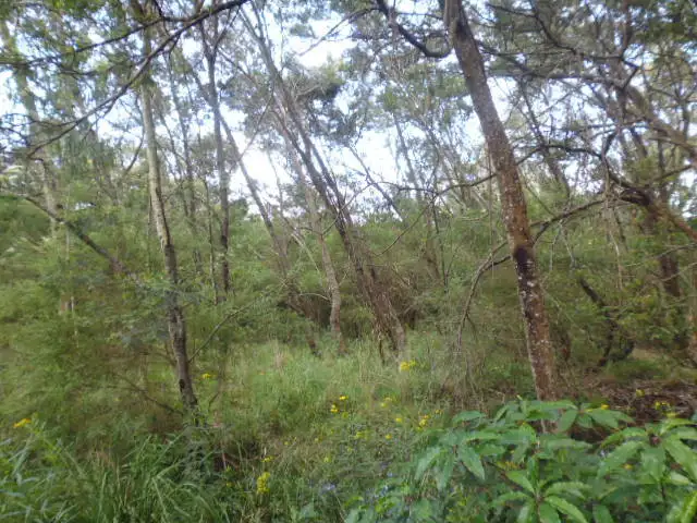 Seventh view of Homely rural property listing, 20 Shumack Place, Wallagoot NSW 2550