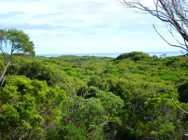 Second view of Homely land listing, Lot 1 North Road, Bungaree, King Island TAS 7256