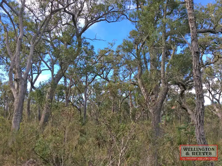 Fourth view of Homely rural property listing, Lot 1 - D93319 Wragg Road, Denmark WA 6333