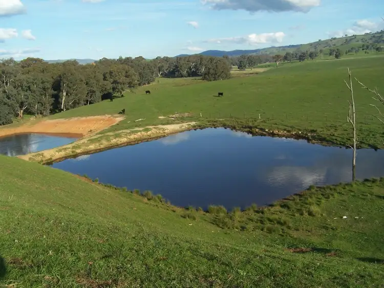 Fifth view of Homely rural property listing, 2245 Westbrook Road, Tarcutta via, Wagga Wagga NSW 2650