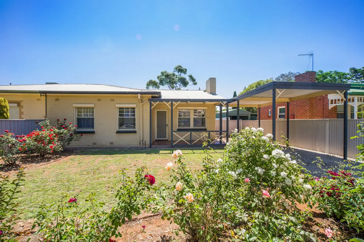 Main view of Homely house listing, 77 Knighton Road, Elizabeth North SA 5113
