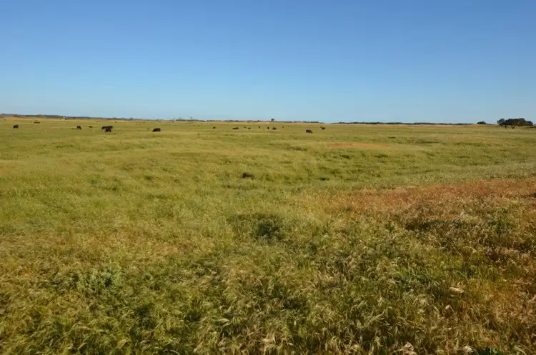 Fifth view of Homely rural property listing, Lot 10 Bog Lane, Robe SA 5276
