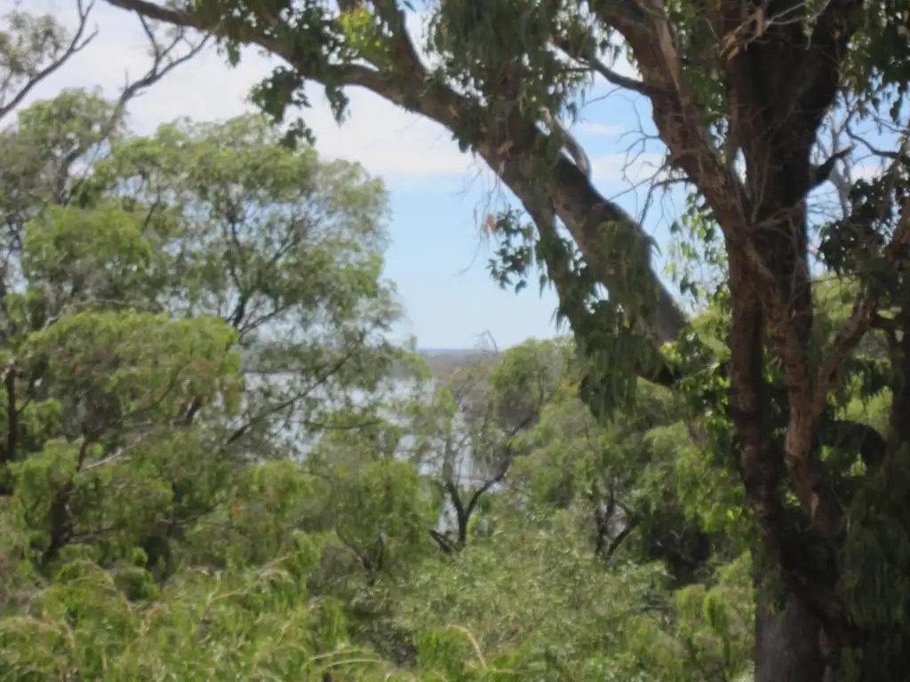 Main view of Homely land listing, 1/36 Pioneer Court, Bouvard WA 6211