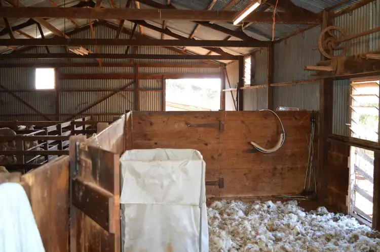 Sixth view of Homely rural property listing, 492 BANBURY ROAD, Hallett SA 5419