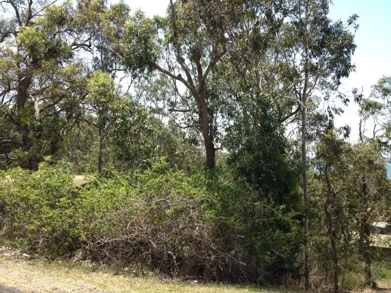 Main view of Homely land listing, 44 Whitbread Drive, Lemon Tree Passage NSW 2319