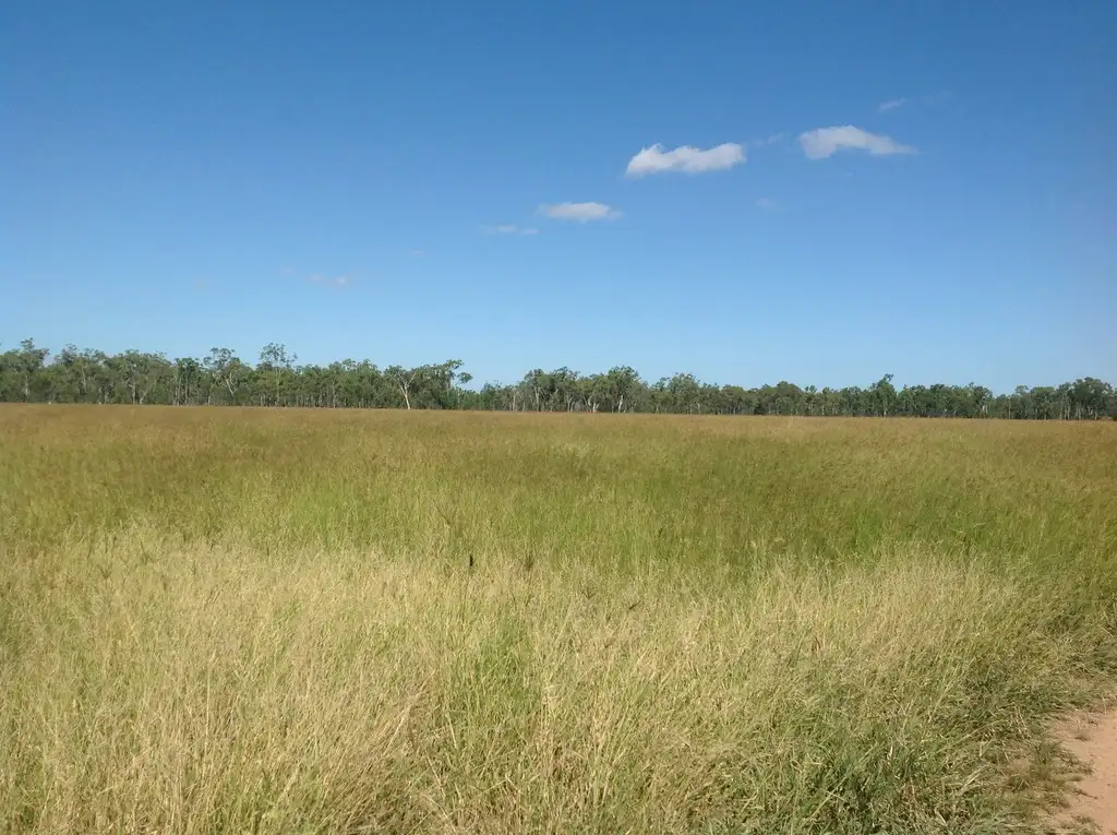 Main view of Homely rural property listing, 2326 Oxford Downs Rd, Nebo QLD 4742
