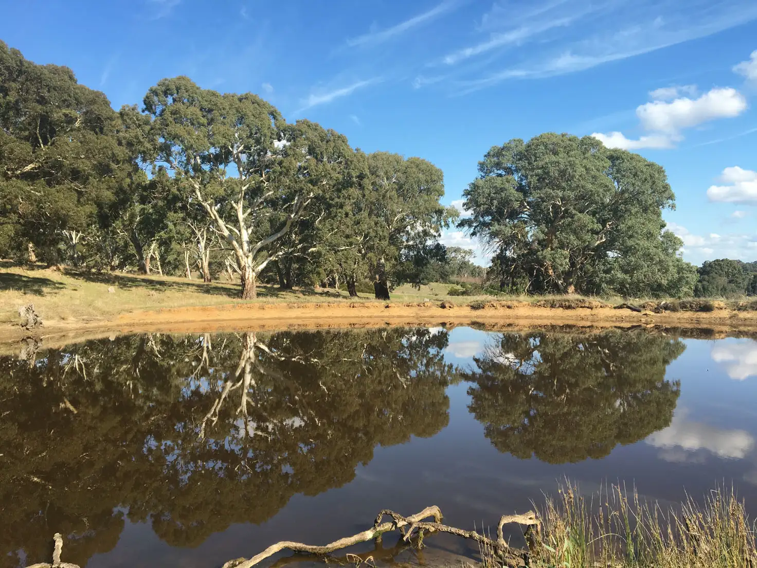 Main view of Homely rural property listing, Section 1449 Archer Hill Road, Bugle Ranges SA 5251