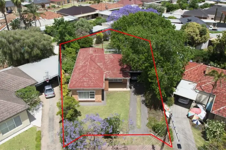 16 Wisdom Street, Seaton SA 5023