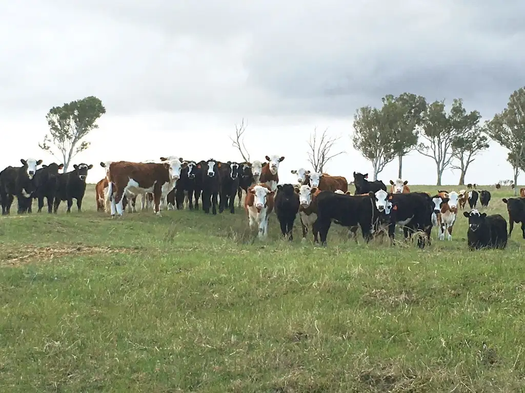 Main view of Homely land listing, Address available on request