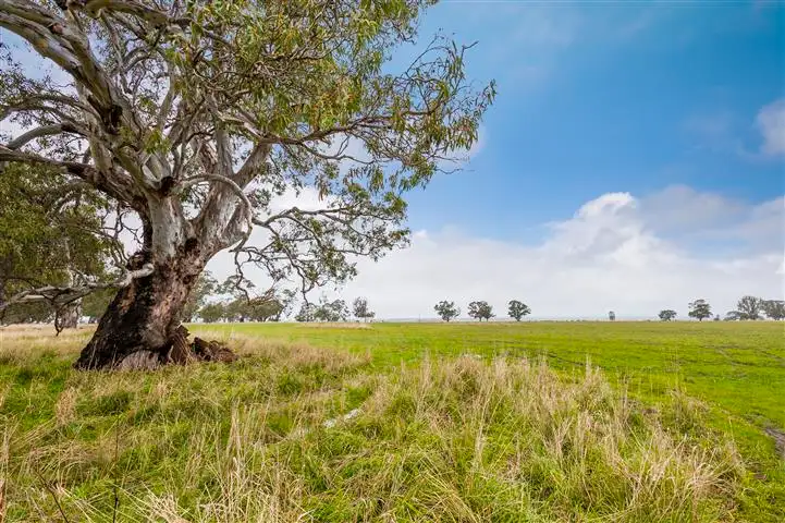 2376 Kyneton-Redesdale Road, Redesdale VIC 3444