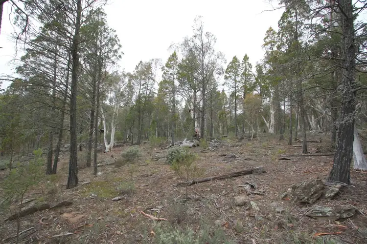 Lot 5 Woodlands Drive, Cooma NSW 2630