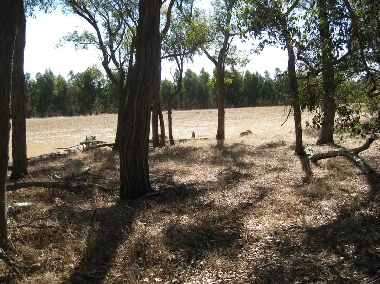 Main view of Homely rural property listing, Lot 55/16 Chester Road, Mount Barker WA 6324