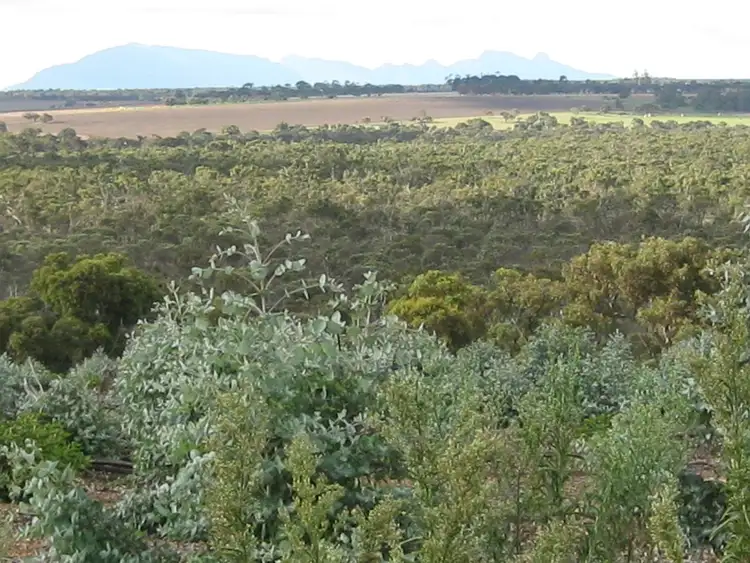 Lot 51 Granite Hill Road, Napier WA 6330