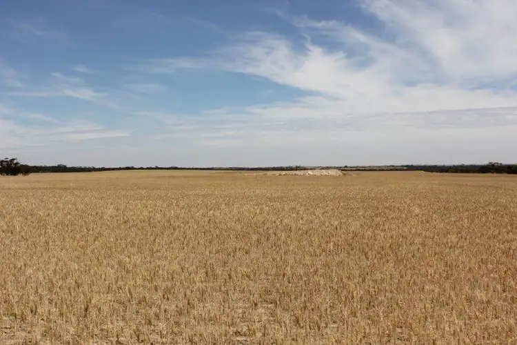 Fifth view of Homely rural property listing, Lots Starcevich-Chapman Road, Cramphorne WA 6420