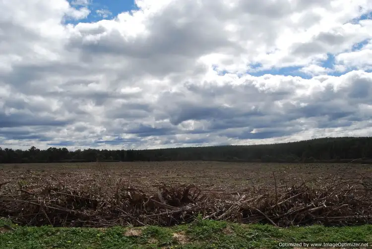 Second view of Homely rural property listing, 00 Old Paisley Road, Munro VIC 3862