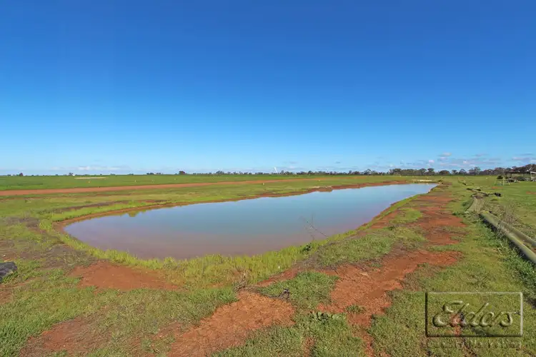 Seventh view of Homely rural property listing, 58 Fantasy Road, Bridgewater VIC 3516