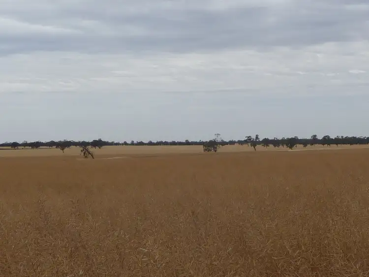 Second view of Homely rural property listing, 781 Leeor Road, Lillimur via, Kaniva VIC 3419