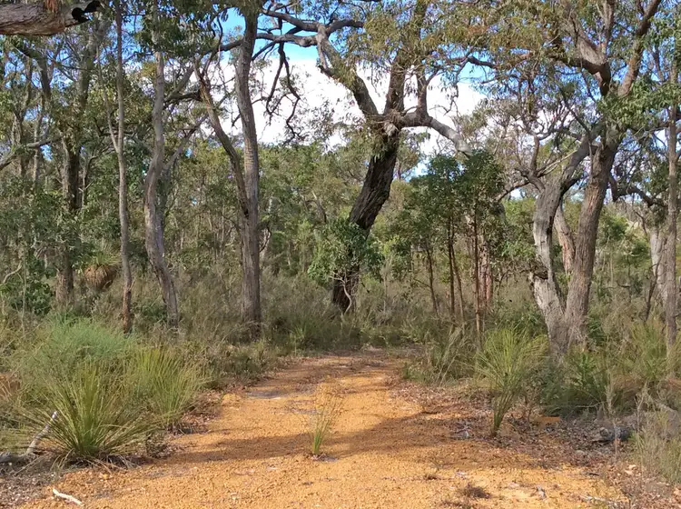 Fifth view of Homely rural property listing, Lot 1 - D93319 Wragg Road, Denmark WA 6333