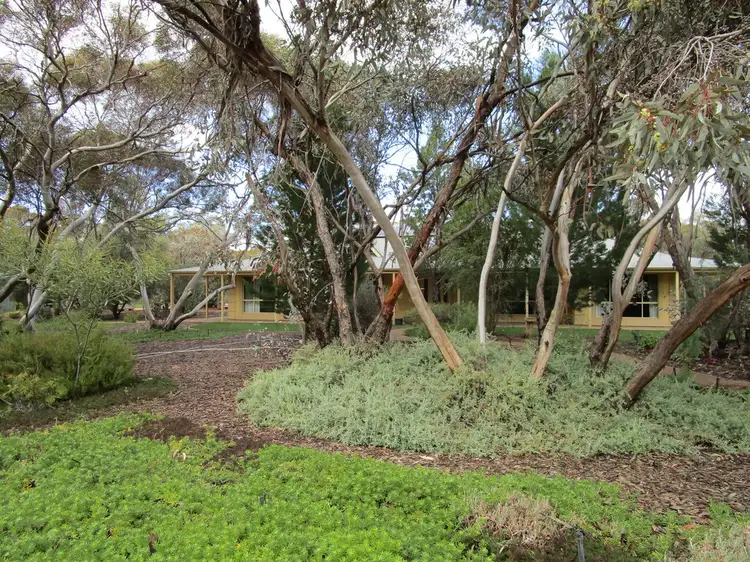 54 Slaughter Rd, Barmera SA 5345