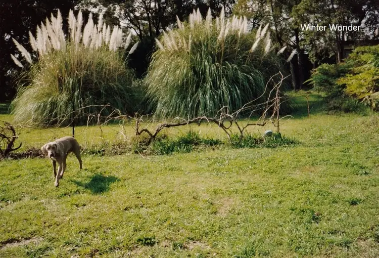 Seventh view of Homely house listing, 40 Mabel Road, Lesmurdie WA 6076