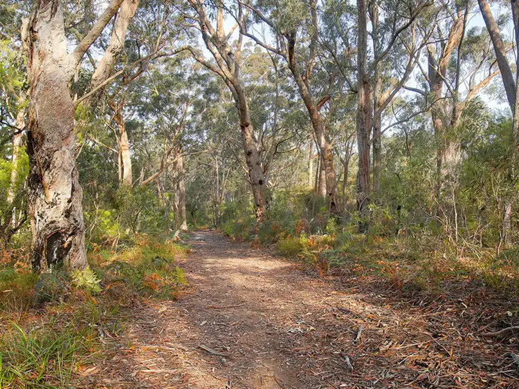 Fifth view of Homely rural property listing, 703 Penrose Road, Penrose NSW 2579