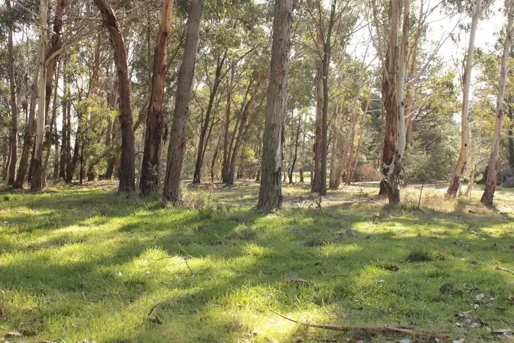 Seventh view of Homely land listing, 34 Clunes Road, Creswick VIC 3363