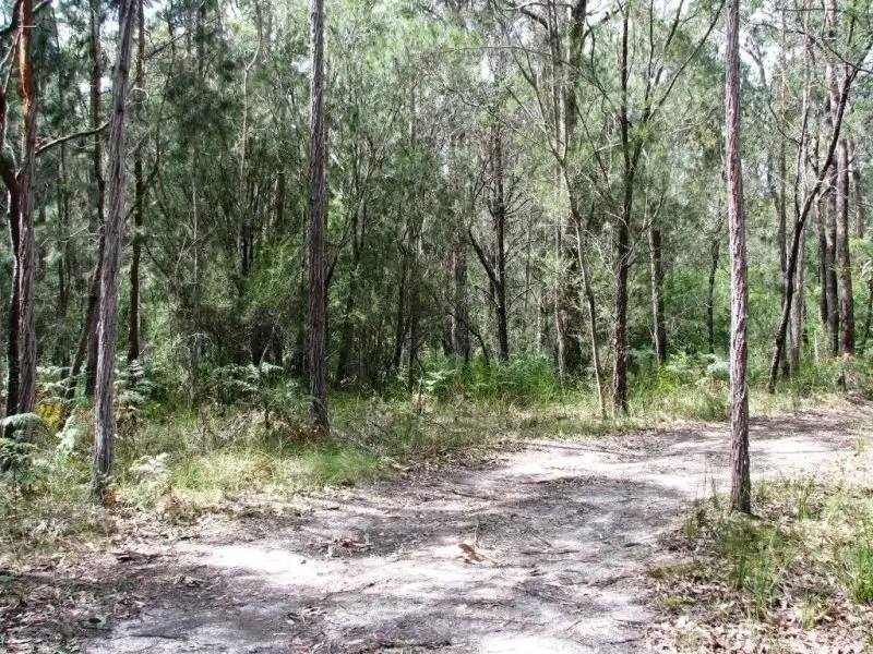 Main view of Homely rural property listing, 4661 Princes Highway, Orbost VIC 3888