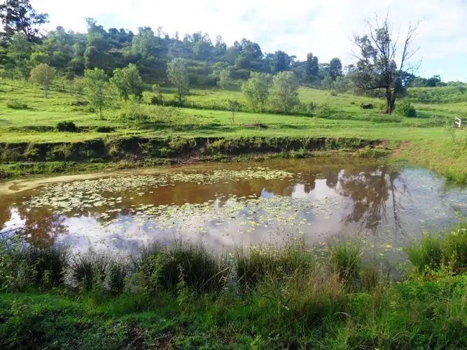 Third view of Homely land listing, 11 Bushman, Plainland QLD 4341