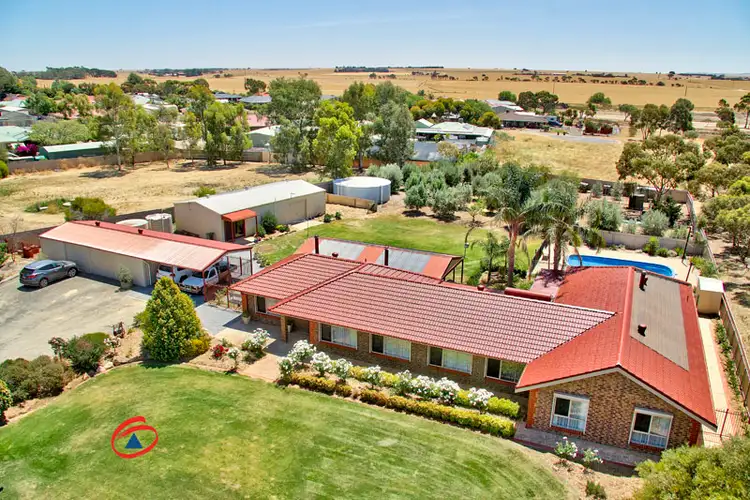 Main view of Homely house listing, 103 Fiddlewood Drive, Freeling SA 5372