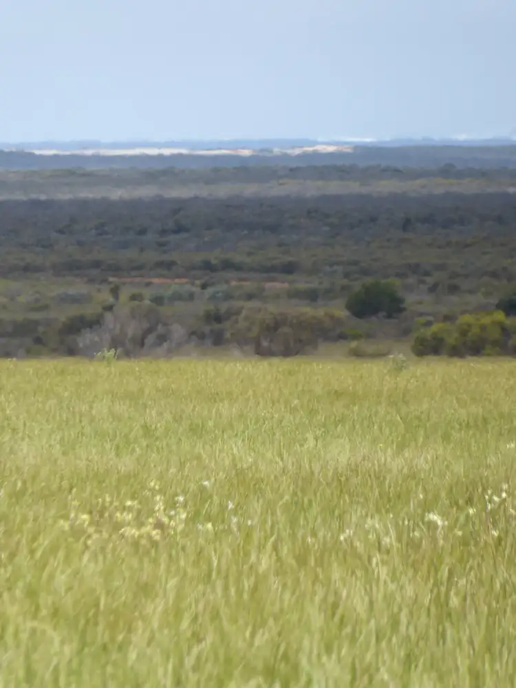Seventh view of Homely rural property listing, 2318 Fence Rd, Jerdacuttup WA 6346