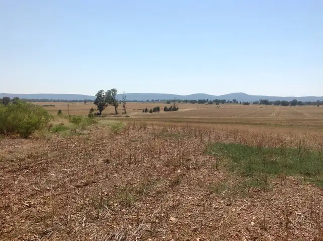 Second view of Homely land listing, Lot 15 Newell Highway, Peak Hill NSW 2869