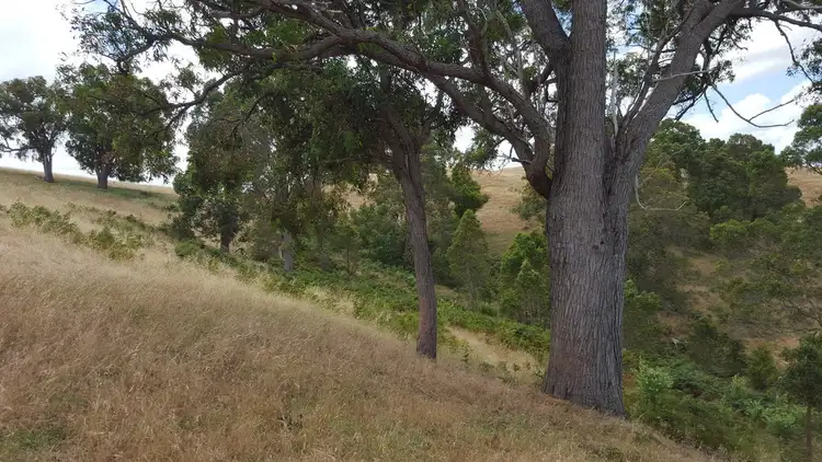Fifth view of Homely rural property listing, 71 Lyons Road, Brookhampton WA 6239