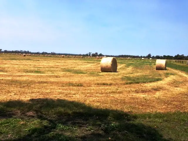 Main view of Homely rural property listing, Lot 3172 Glendon Road, Ludlow WA 6280
