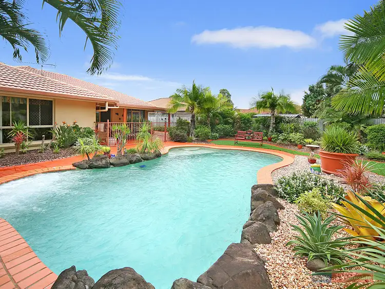 45 Mountain Ash Drive, Mountain Creek QLD 4557