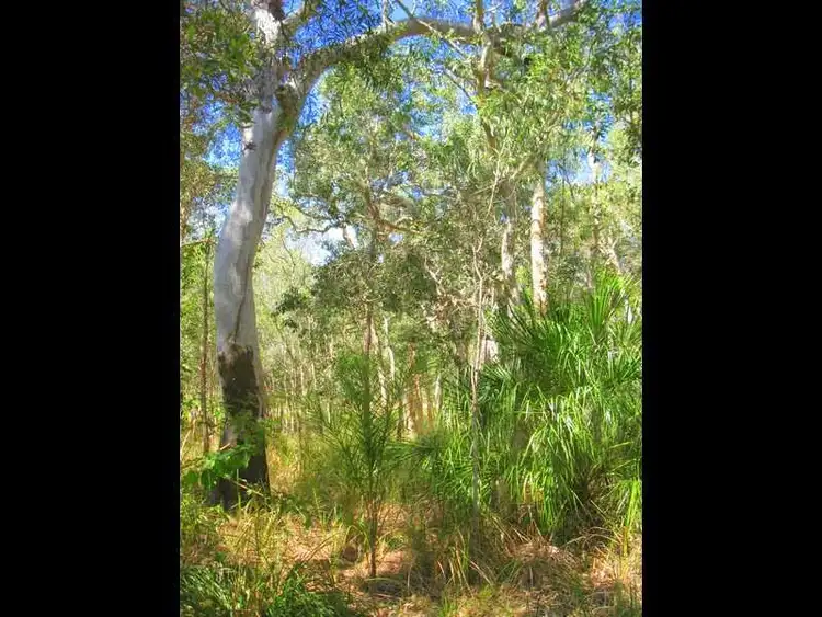 241 Allingham Way, Agnes Water QLD 4677