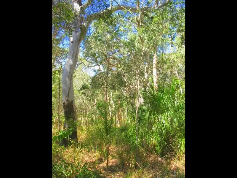 Main view of Homely land listing, 241 Allingham Way, Agnes Water QLD 4677