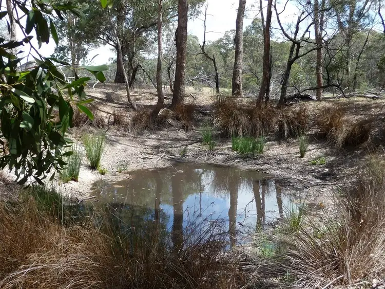 Lot 5a & 5d King Charlie Lane, Raglan VIC 3373