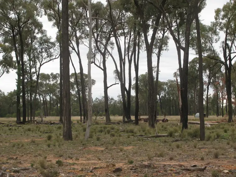 Third view of Homely land listing, 375 Tuppiari Rd, Jacks Creek NSW 2390