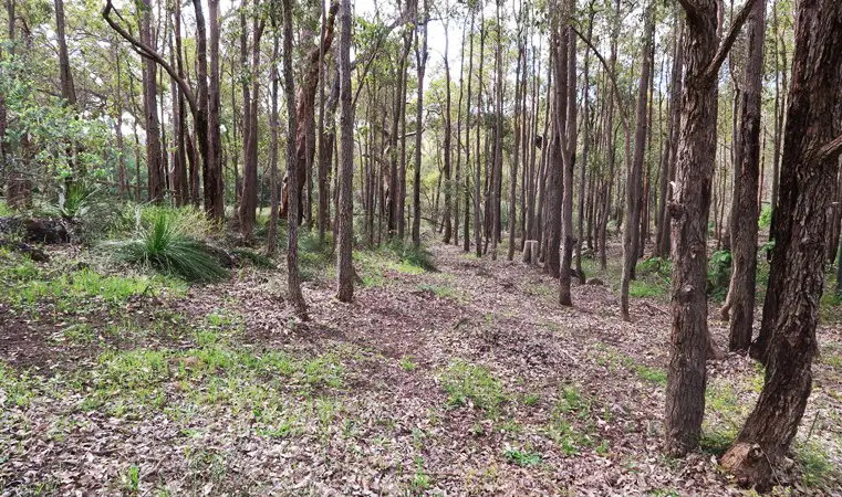Main view of Homely land listing, Address available on request