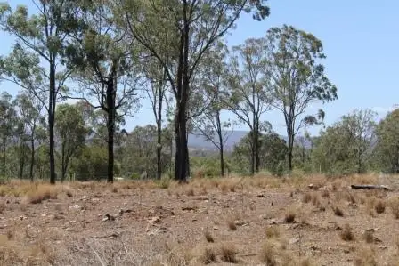 Seventh view of Homely rural property listing, Address available on request