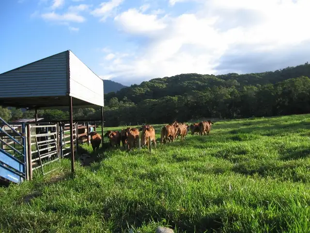 Second view of Homely house listing, 76 Carr Road, Julatten QLD 4871