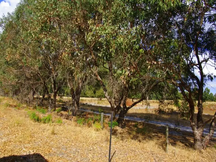 Fourth view of Homely rural property listing, 53 Howson Drive, Brunswick WA 6224