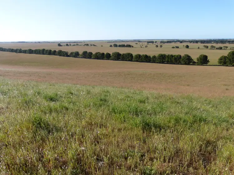 Fourth view of Homely rural property listing, 563 McIntosh Way, Meningie SA 5264