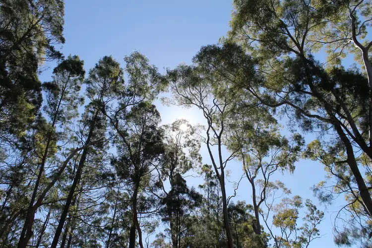 Third view of Homely rural property listing, 280 Yammacoona Estate Road, Delungra NSW 2403