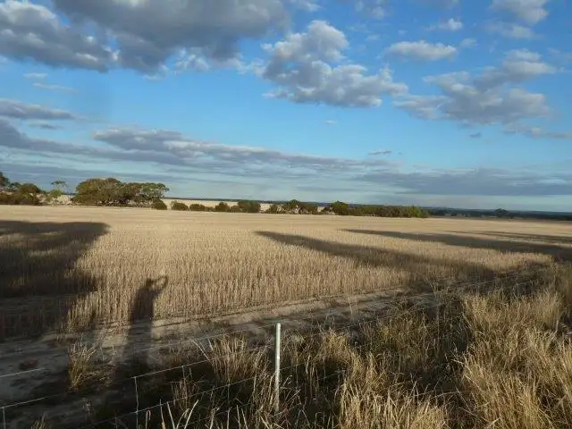 Fifth view of Homely rural property listing, 'Koolena' 1642 South Dubelling Road, Quairading WA 6383