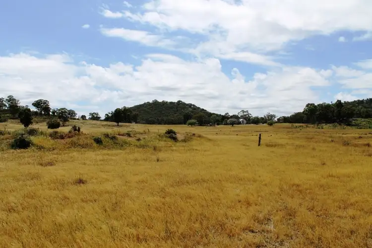 Fifth view of Homely rural property listing, 1640 Goolma Road, Gulgong NSW 2852