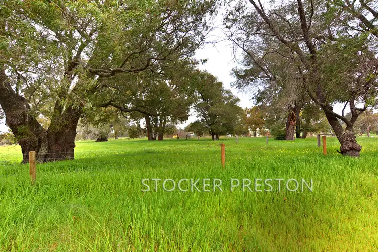 Sixth view of Homely house listing, 13 Fishermans Road, Stratham WA 6237