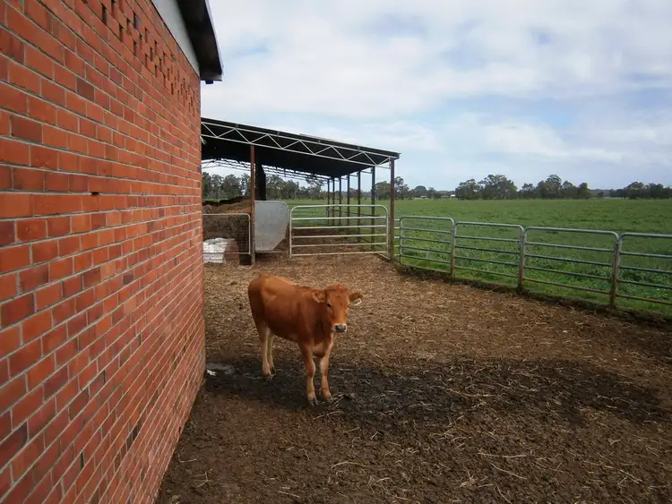 Fourth view of Homely rural property listing, 501 Boyanup Road West, Boyanup WA 6237