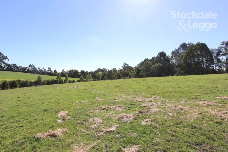 Main view of Homely land listing, 1 Napiers Lane, Mirboo North VIC 3871